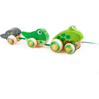 Hape Crawling Frog Family Vert Enfants