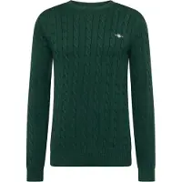 Gant Pull-over vert foncé