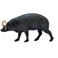 Collecta Schwein Sulawesi Babirusa L - Tierfigur