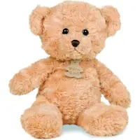 Histoire D'ours OURS CALIN 21 cm MIEL (remplace ref HO1436)