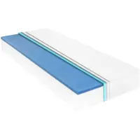 vidaXL Matelas 120 x 200 cm Mousse viscoélastique à mémoire de forme 18 cm H2