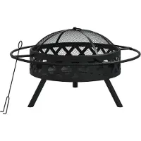vidaXL Plateau de feu avec tisonnier 70 cm XXL Acier