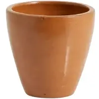 Nordal Tasses en genévrier marron set de 6 pièces