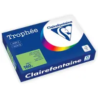 Clairefontaine Vert d'herbe A4 Papier couleur 210 g/m² (250 feuilles)