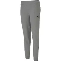 Puma Femmes, Bas de sport, teamGOAL 23 Casuals Pants W-657084 (S), Gris