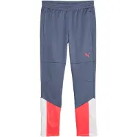 Puma Pantalon de sport 'individualCUP' gris / rouge sang / blanc