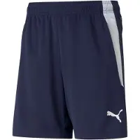 Puma Pantalon de sport 'Team Liga' bleu marine / blanc