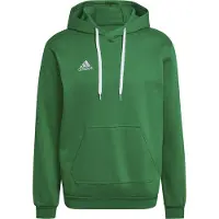 Adidas Entrada 22 Hoodie Vert S / Regular Homme