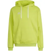 Adidas Entrada 22 Hoodie Vert S / Regular Homme