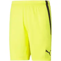 Puma Short Teamliga