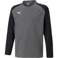 Puma T-Shirt fonctionnel 'TeamLiga' gris / noir / blanc