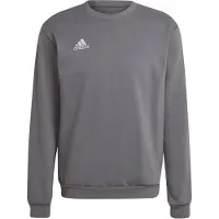 Adidas Entrada 22 Stadium Sw Sweatshirt Rose M / Regular Homme