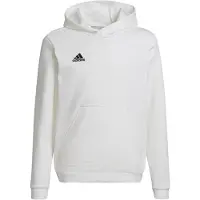 Adidas Entrada 22 Hoodie Blanc 15-16 Years Enfants