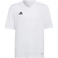Adidas T-Shirt fonctionnel 'Entrada 22' noir / blanc