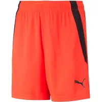 Puma teamLIGA Shorts Jr-704931