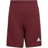 Adidas Pantalon Squadra 21, GN8081, Pointure: 123
