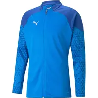 Puma teamCUP Training Jacket blue L