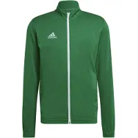 Adidas Entrada 22 Tracksuit Jacket Vert L / Regular Homme