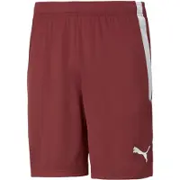 Puma Hommes, Bas de sport, Short teamLIGA-704924 (L), Rouge