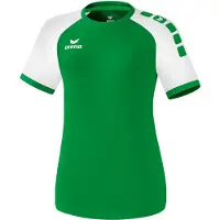 Erima Maillot 'Zenari' vert / blanc