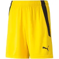 Puma Garçons, Bas de sport, short teamLIGA Jr-704931 (152), Jaune