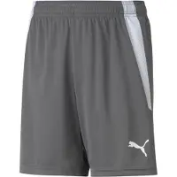 Puma Pantalon de sport 'TeamLiga' gris foncé / blanc cassé