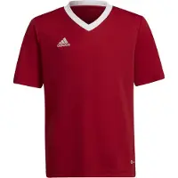Adidas T-Shirt fonctionnel 'Entrada 22' rouge feu / blanc