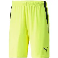 Puma Short teamLIGA