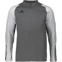 Adidas Garçons, Pull-over, Tiro 23 Competition Training Sweatshirt gris pour enfants HP1909 (164cm), Gris, (164)