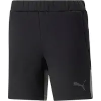 Puma Pantalon de sport 'Team Cup' gris foncé / noir