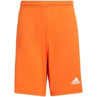 Adidas Pantalon Squadra 21, GN8082, Pointure: 111
