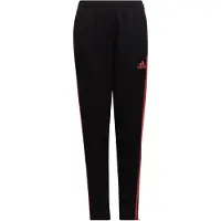 Adidas Pantalon de sport rouge sang / noir