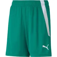 Puma Teamliga Short Enfants - Vert