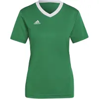 Adidas Entrada 22 Maillot manches courtes femme - Vert