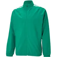 Puma Teamliga Presentation Jacket Men - Green