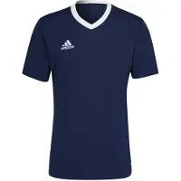 Adidas T-Shirt fonctionnel 'Entrada 22'