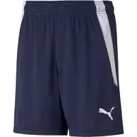 Puma Pantalon de sport 'TeamLiga' bleu marine / blanc