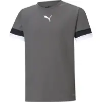 Puma Teamrise Maillot à Manches Courtes Enfants - Gris