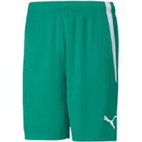 Puma Pantalon de sport vert / blanc