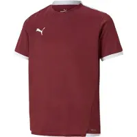 Puma Teamliga Jersey Short Sleeve Kids - Bordeaux / White