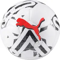 Puma 5