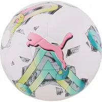 Puma 5