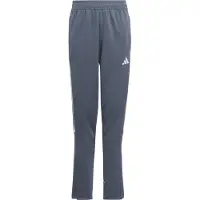 Adidas Tiro23 L Pants Bleu 5-6 Years Enfants
