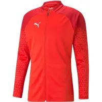 Puma Team Cup Training Jacket Hommes - Rouge