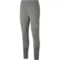 Puma Pantalon de sport 'TeamCup' gris / gris foncé