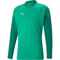 Puma Hommes, Pull-over, teamCUP Training 1/4 Zip Top, Vert, (XXL)