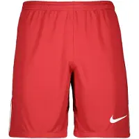 Nike Pantalon de sport 'League III' rouge / blanc