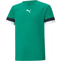 Puma T-shirt Teamrise Jersey, 70493805, Pointure: 164