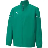 Puma Teamrise Training Jacket Kids - Green