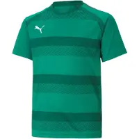 Puma T-Shirt fonctionnel 'TeamVision' vert / vert foncé / blanc